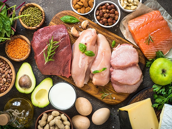 High-Protein and Normal-Protein Diets
