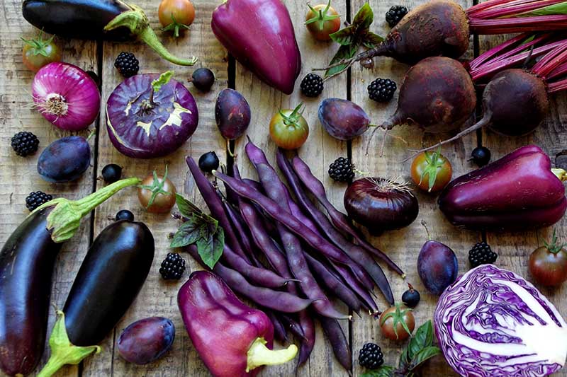 Purple Vegetables