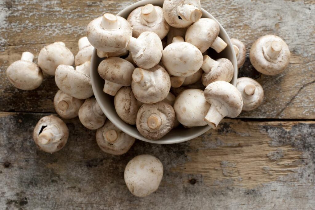 Mushrooms and Diabetes