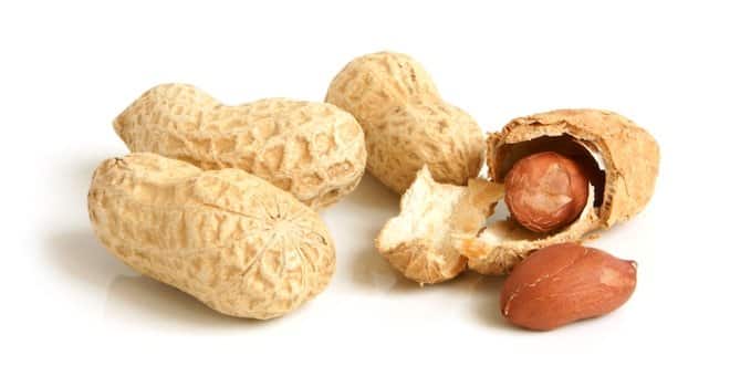Peanut and Diabetes Myths Understanding Blood Sugar