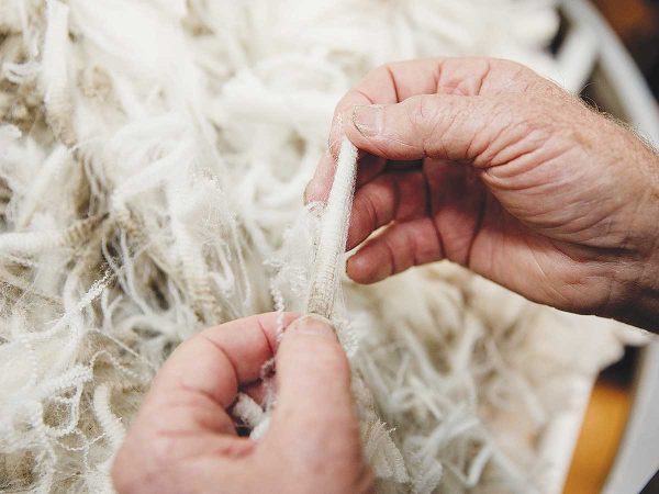 Wool Keratin May Help Manage Type-2 Diabetes